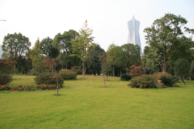 杭州環北公園綠化景觀改造工程